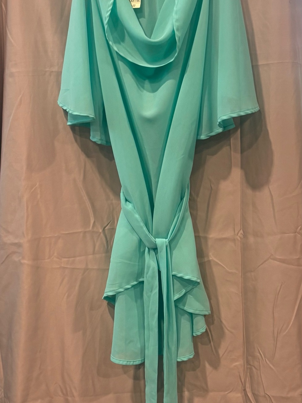 Arden B Mint Green Draped Chiffon Blouse with Tie
